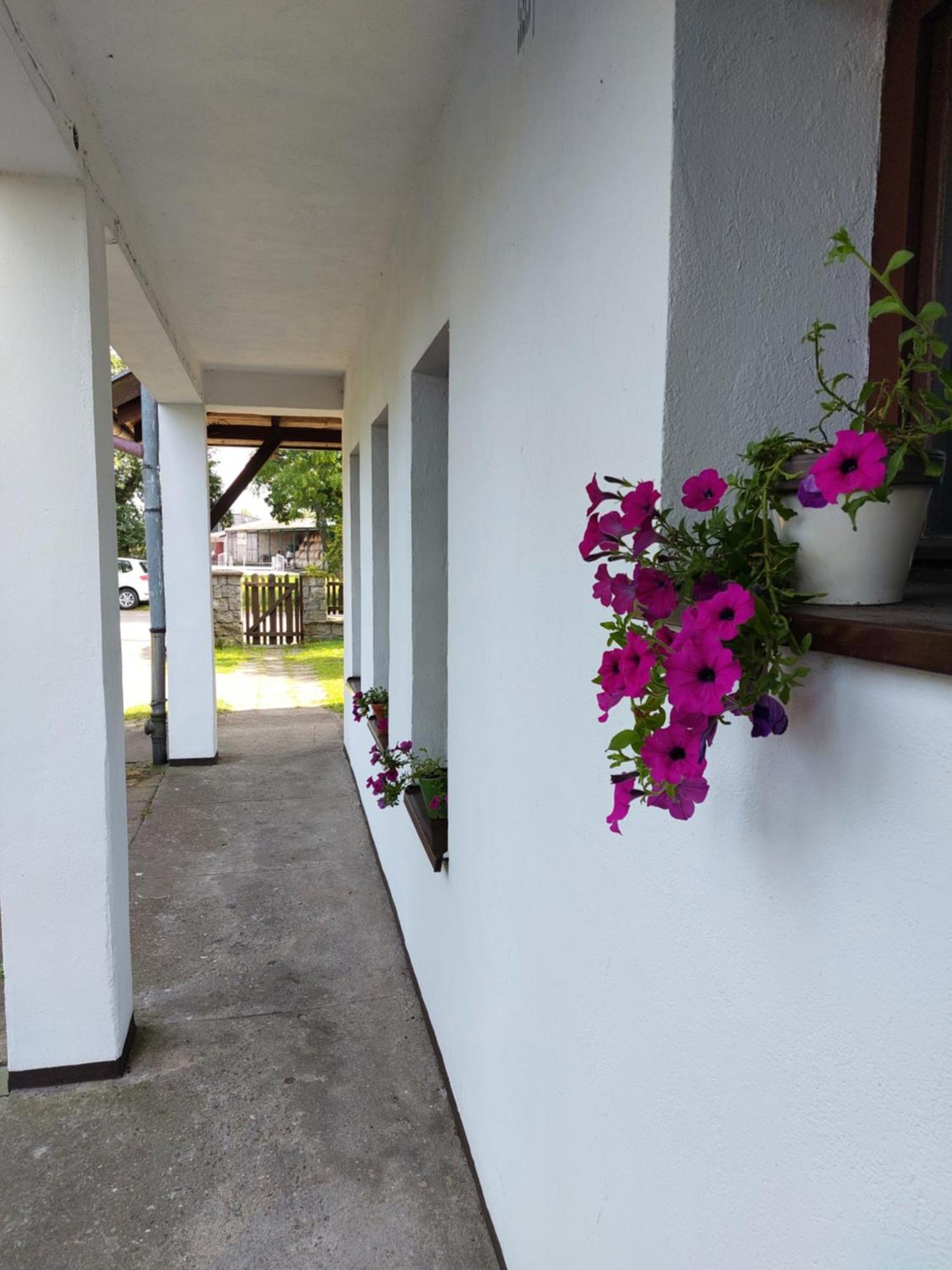 Baltic Apartment Leba Exterior photo